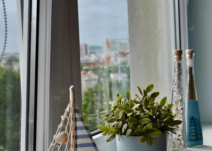 Muszelkowa Zatoka Gdańsk